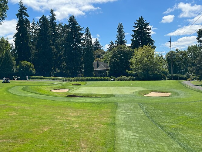 Hole 6 Green Site August 2025