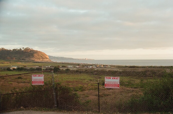 53239190751_16d76c3bcf_o