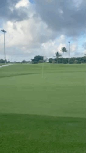 Park gif
